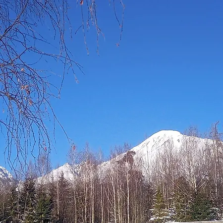 19 Tatry Apartment Velky Slavkov